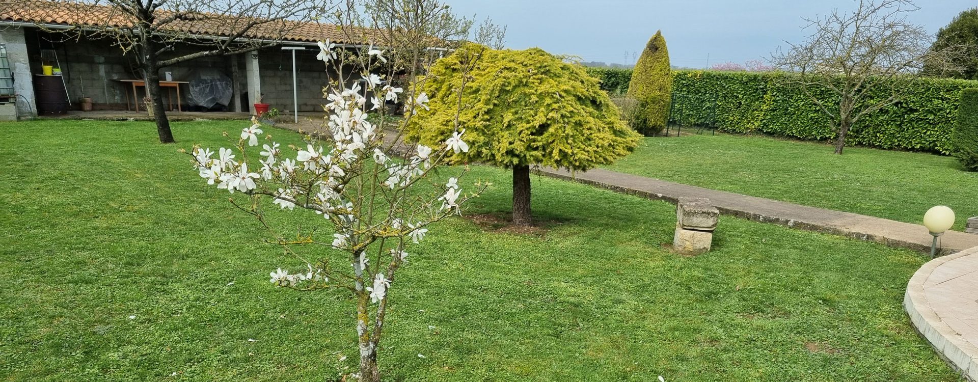 Entretien espace vert Niort